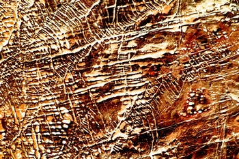 AP 177C1